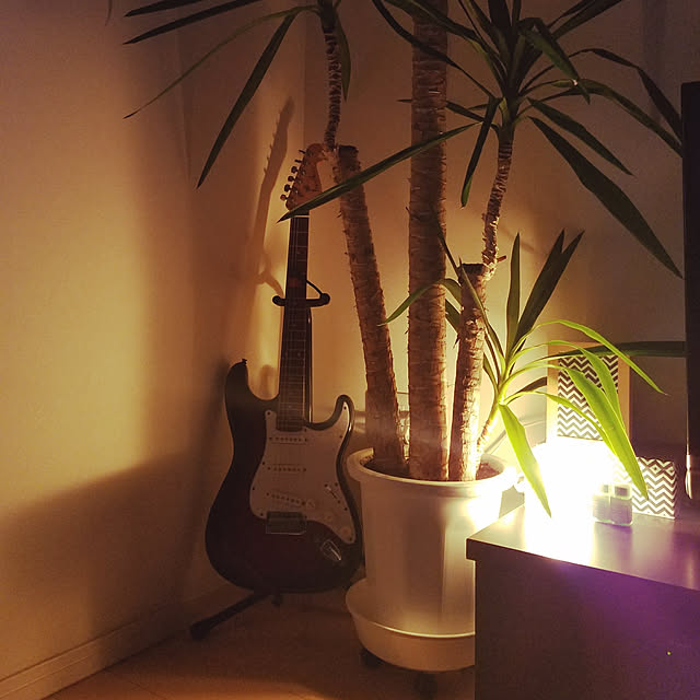 miAさんの実例写真