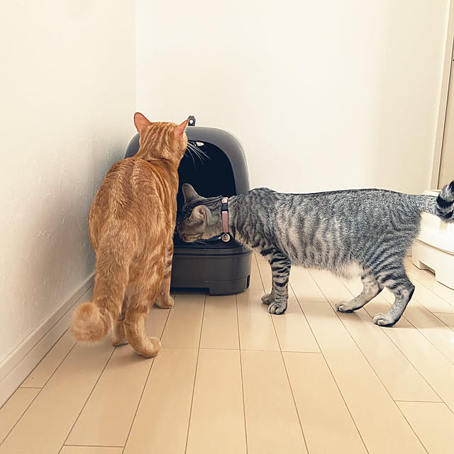 gachaさんの実例写真