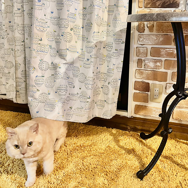 naokoさんの部屋