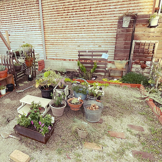 miju.kさんの部屋