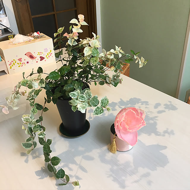 MARIRINさんの実例写真