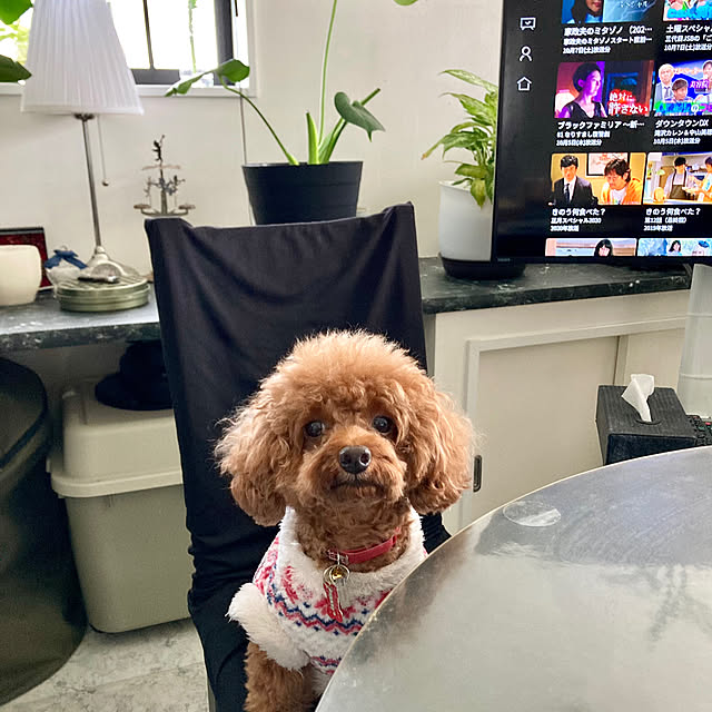 MOMOMAMAさんの部屋