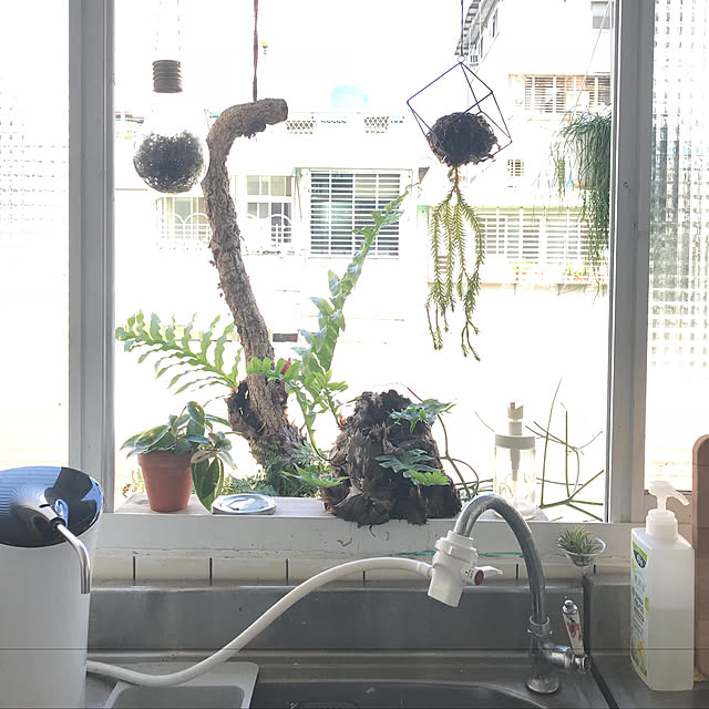 GJさんの実例写真