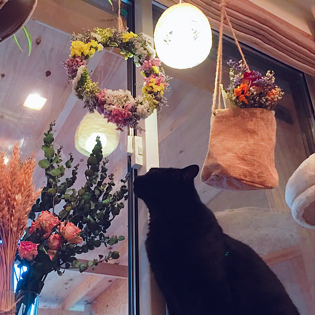 nanaさんの実例写真