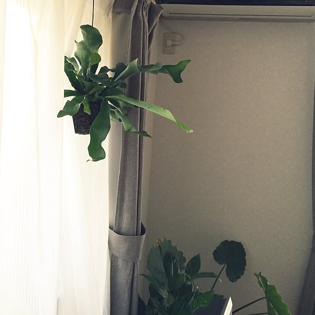 kazuさんの実例写真