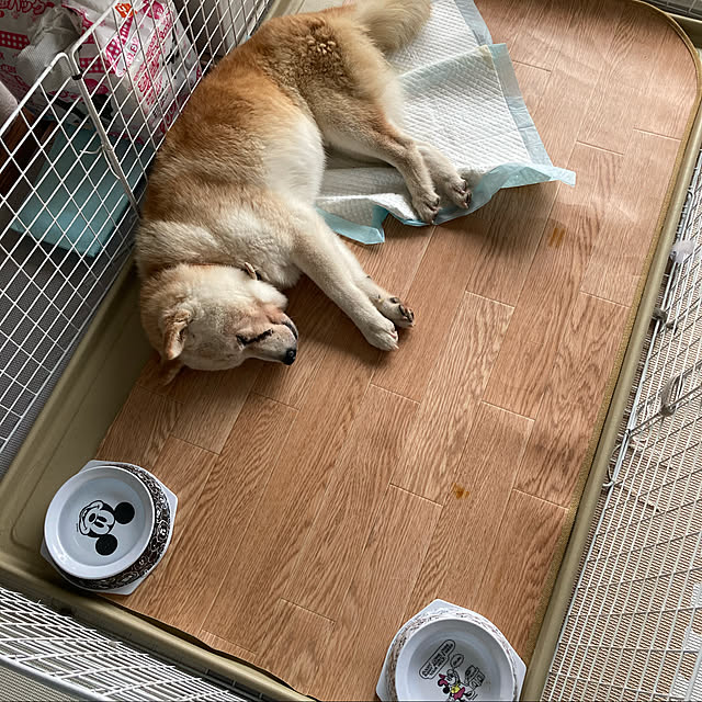 yumomitoさんの実例写真