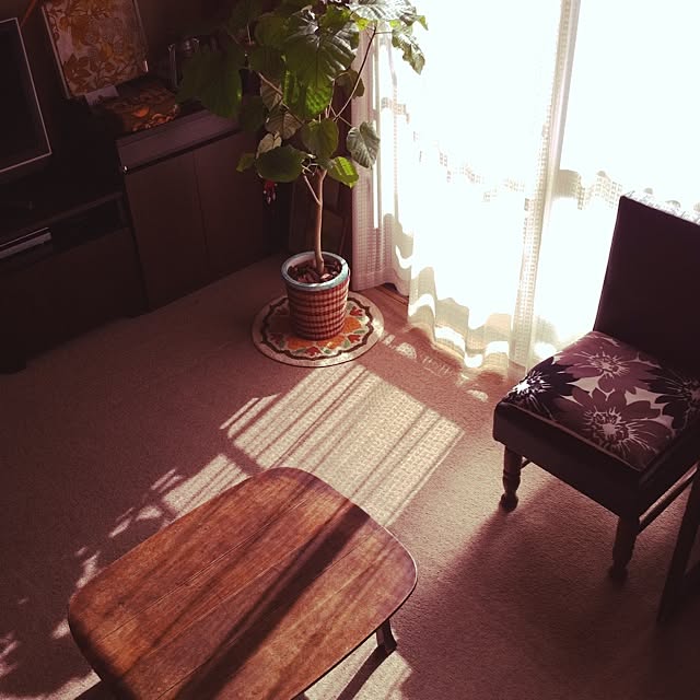 soramameさんの実例写真