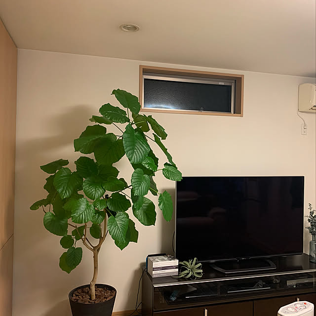 yumicさんの実例写真
