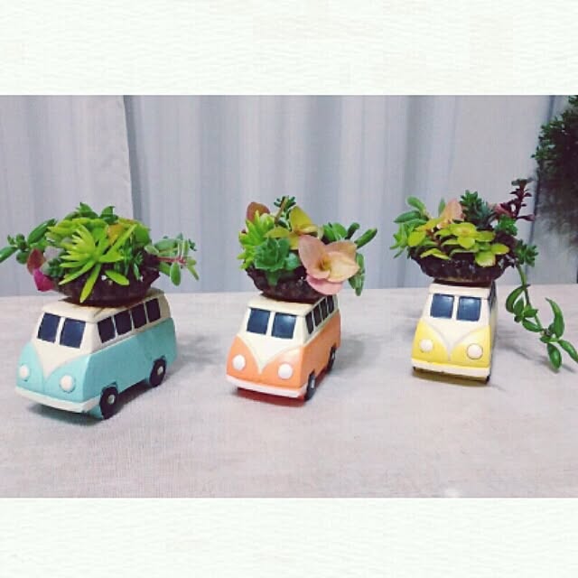 hana4504さんの実例写真