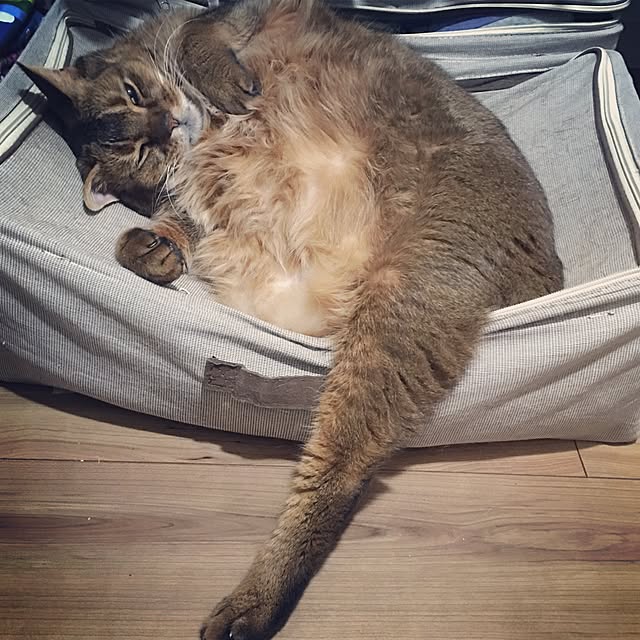 muuさんの実例写真