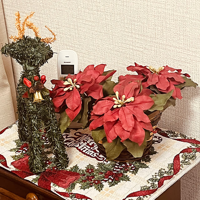 momoloveさんの実例写真
