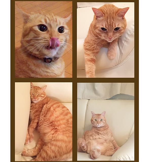 yuさんの実例写真