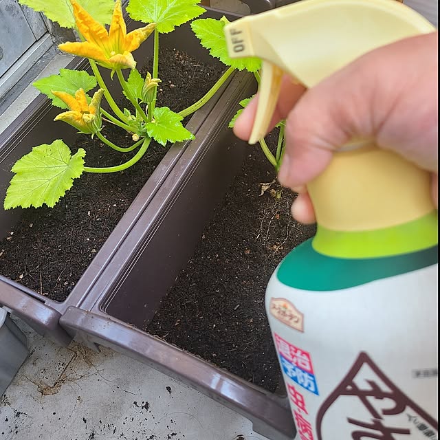 monnさんの実例写真