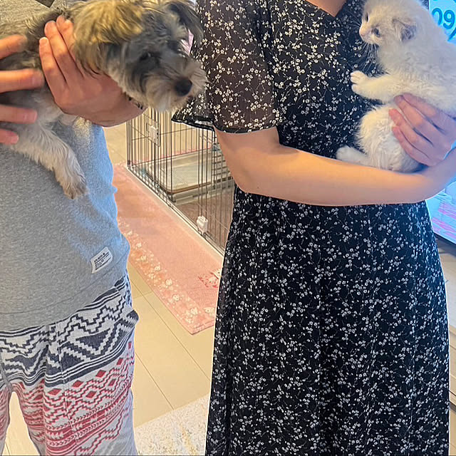 msさんの部屋