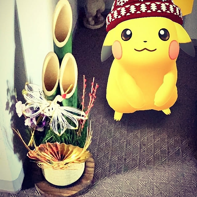 hidemomさんの実例写真