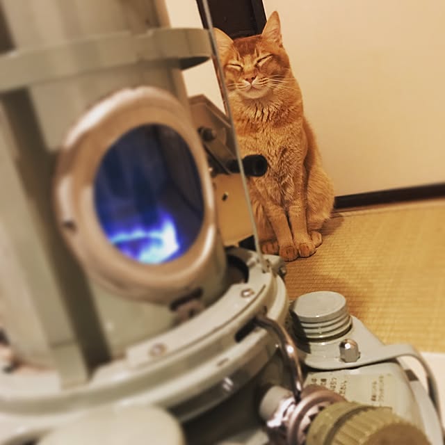 Tomoさんの実例写真
