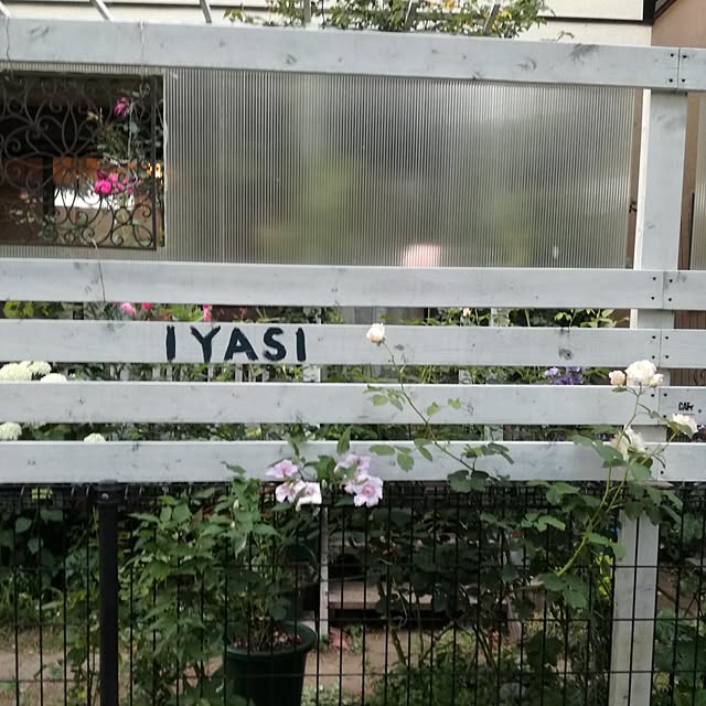 jjjiyasiさんの実例写真