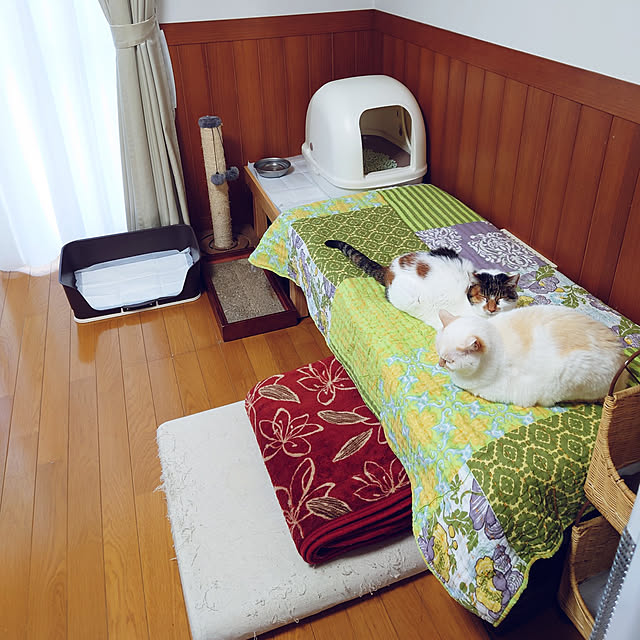 nachiさんの実例写真