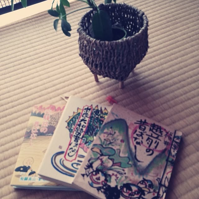 rookuさんの実例写真