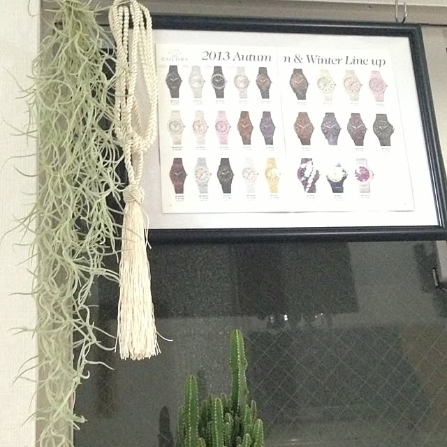 Maikaさんの実例写真