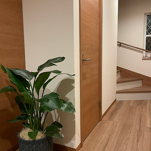 ikuzakさんの部屋