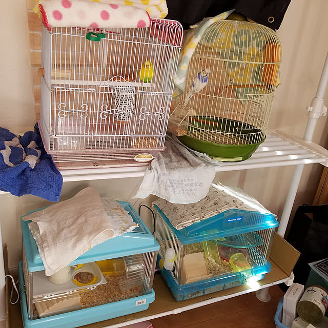 Hiromiさんの実例写真