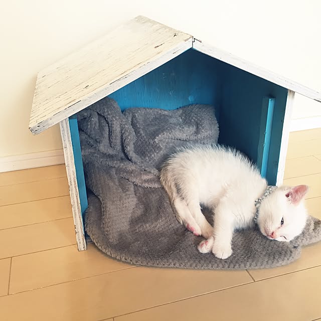 omo8さんの実例写真
