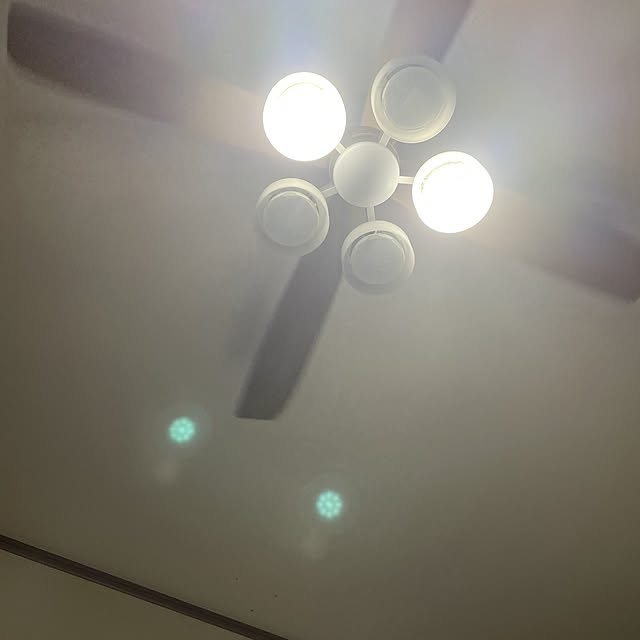 peiさんの実例写真