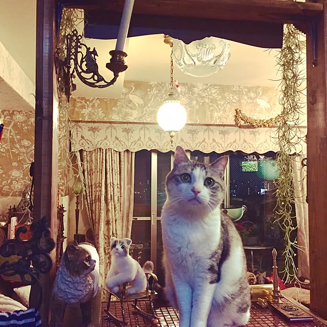 emmyyさんの実例写真
