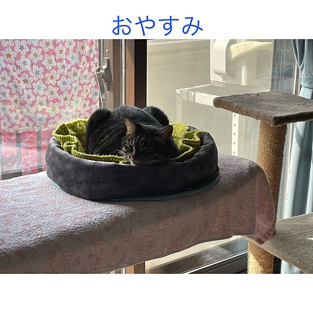 momocchiさんの部屋