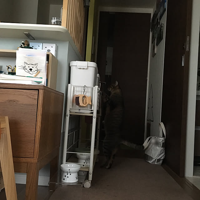 mikomaruさんの実例写真