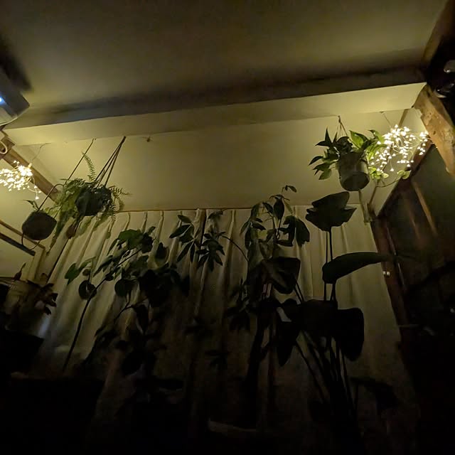 isikoro.DIYさんの実例写真