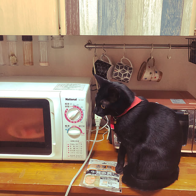 jijiさんの実例写真