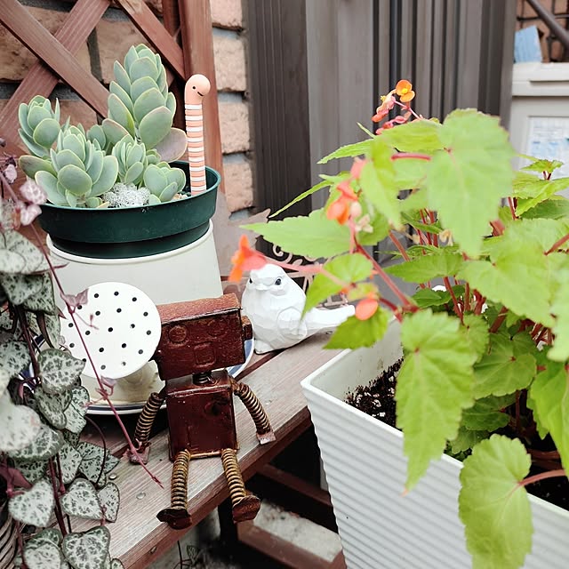 kiraさんの部屋