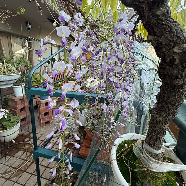 Aqettyさんの部屋