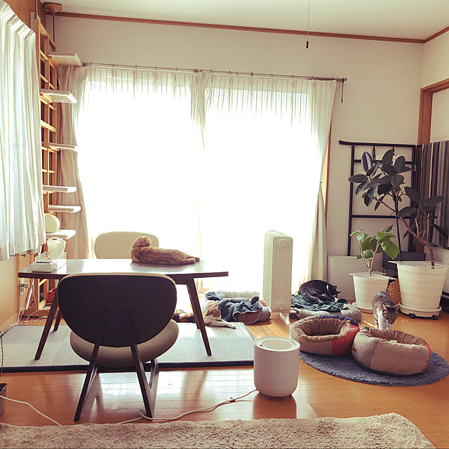 amosさんの実例写真