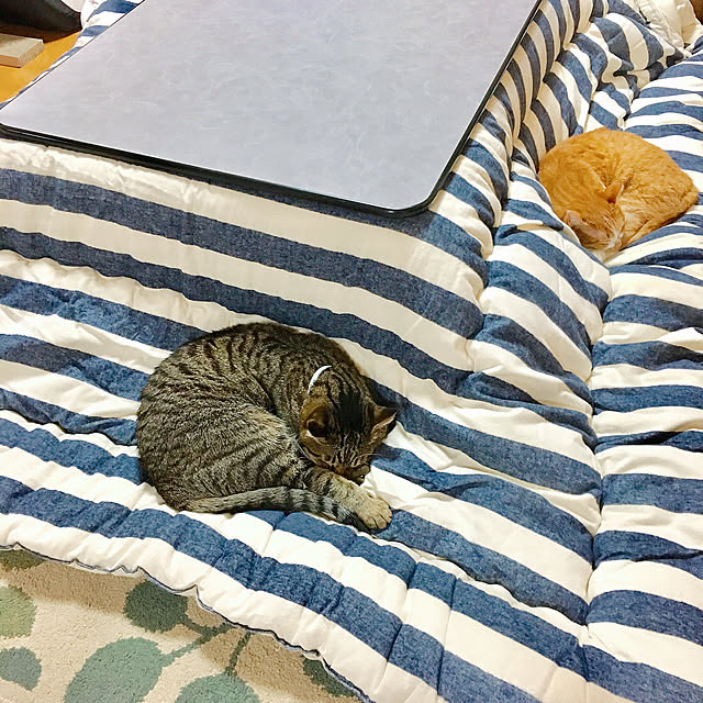 cocomaroさんの実例写真