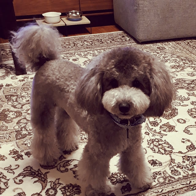 matthewさんの実例写真