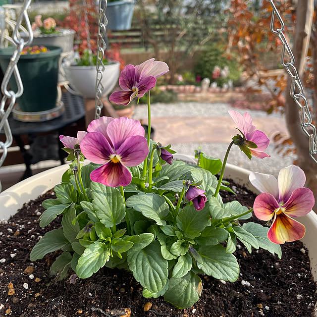 ronronさんの部屋