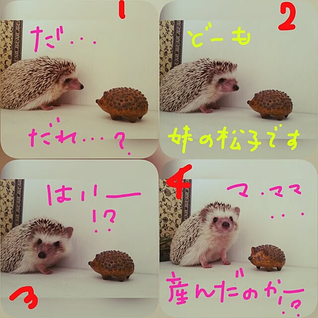 kuruさんの実例写真