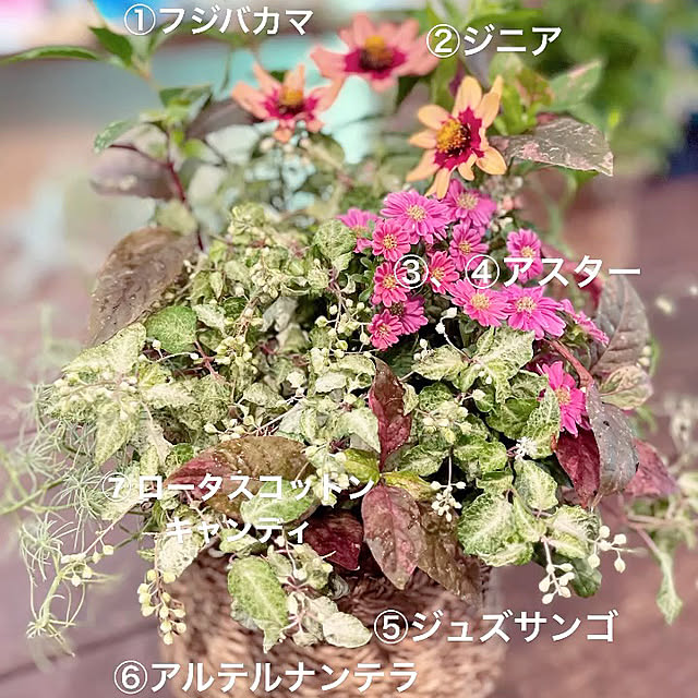 mayumiさんの部屋