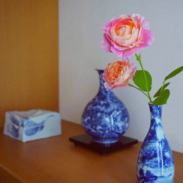 aromameさんの実例写真