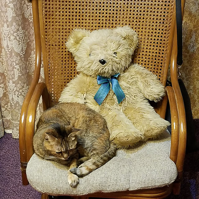 minyan.nekoさんの実例写真