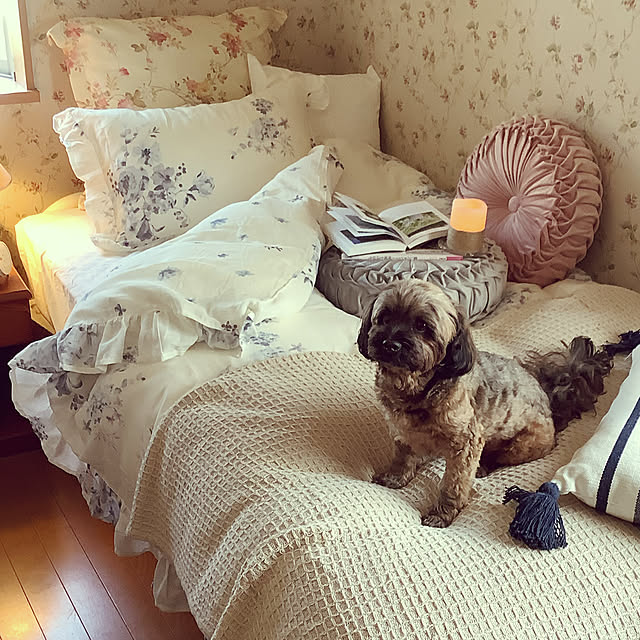 taeさんの実例写真