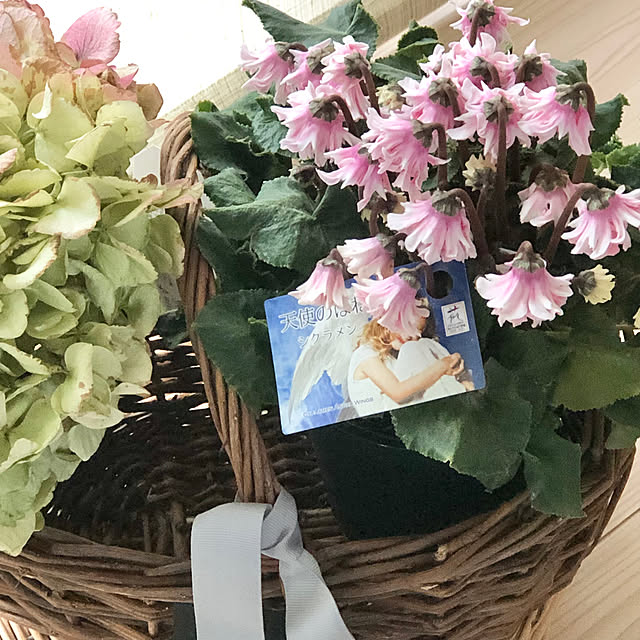 Chigusaさんの部屋