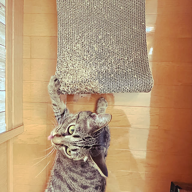 Mさんの実例写真