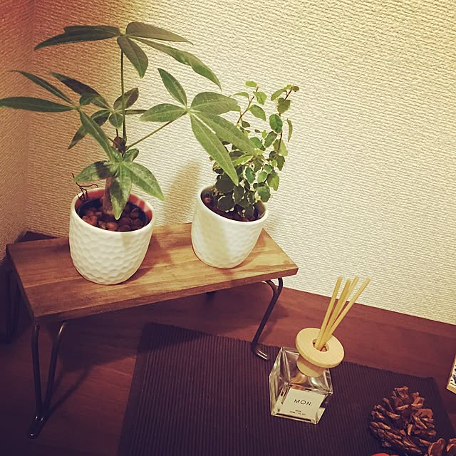 hochiさんの実例写真