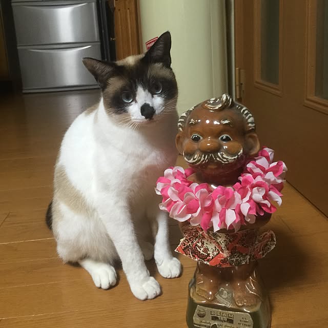 Masaruさんの実例写真