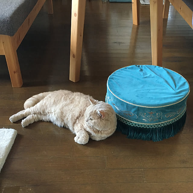naokoさんの部屋