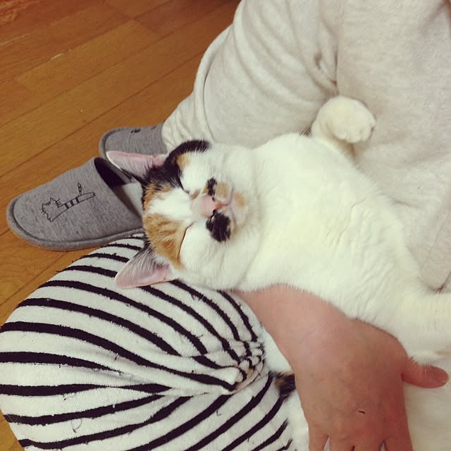 Kinanさんの実例写真